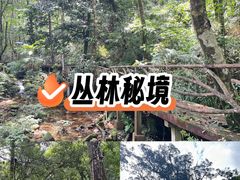-海南热带雨林国家公园吊罗山景区