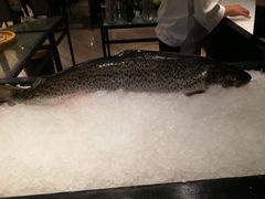 -索菲特酒店·海鲜自助 ·聚餐厅