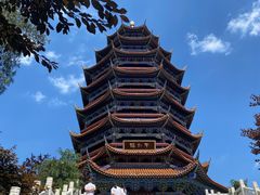 -铁山坪森林公园