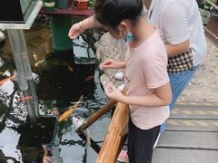 -上海大自然野生昆虫馆(东方明珠·爬宠昆虫探索中心)