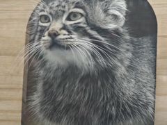 -青藏高原野生动物园