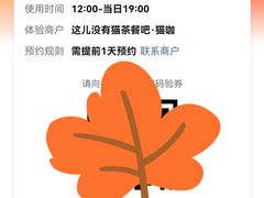 -这儿没有猫·猫咖萌宠馆·撸猫