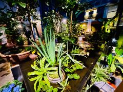 -肴约·花园式餐厅(湖里店)