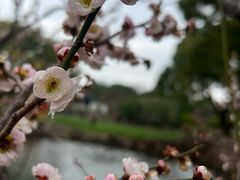 -无锡梅园公园