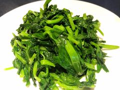 酒香豆苗-老吉士酒家(天平路店)
