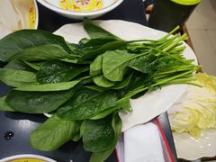 -芦月轩羊蝎子(北蜂窝店)