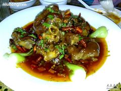 20081009298-巴渝兄弟川菜(宽街店)