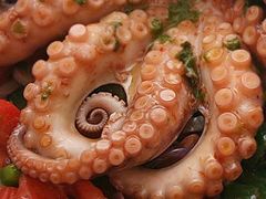 -东海章鱼馆(恒瑞街店)