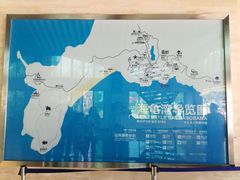 -广东惠东海龟国家级自然保护区