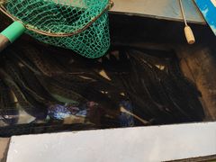 -重庆乌鱼庄·龙滋鲜(青羊大道店)