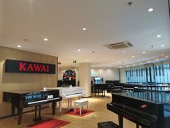 -柏斯琴行(汾阳店)