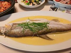 鸡油蒸翘嘴鱼-大鸭梨烤鸭(石佛营店)