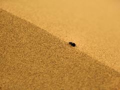 -亿利库布其七星湖沙漠生态旅游区