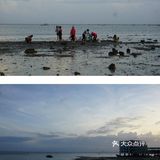 【濱海晨曦】