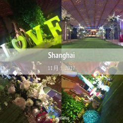 -艾米婚纱&婚礼策划