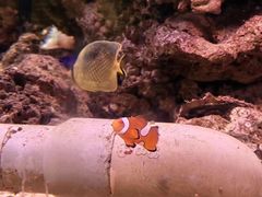 -大连老虎滩海洋公园