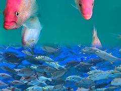 -泉城欧乐堡海洋极地世界