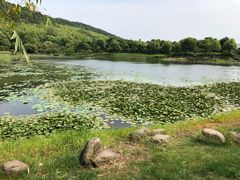 -苏州环秀晓筑养生度假村