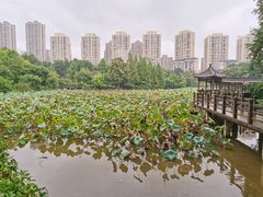 -龙头寺公园