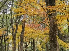 -宁波市保国寺古建筑博物馆