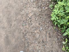 -浮槎山