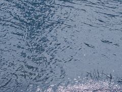 -重庆市江北嘴中央商务区中央公园