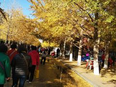 -辽宁大学(崇山校区)