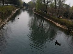 -长白岛森林公园