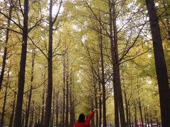 -汉景帝阳陵博物院