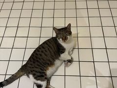 -ID.PHOTO照相馆(嘉里企业中心店)