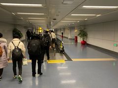 -重庆江北国际机场-T2航站楼