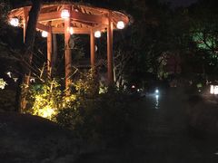 -唐风温泉