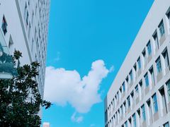 -上海市第四人民医院