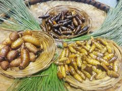 -昆虫窝子·特色云南菜(拓东路总店)