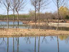 -东郊湿地公园