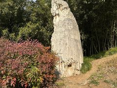 -方山风景区定林寺