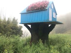 -广州市石门国家森林公园