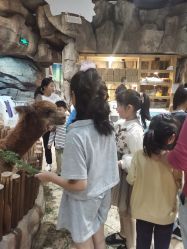 -宝燕乐园(闵行旗舰店)