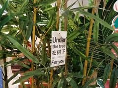 -施奈儿.洗头頭療.按摩SPA.采耳(上梅林店)