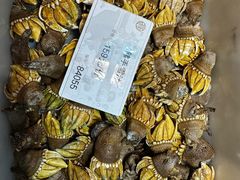 -高佳庄·舟山海鲜(海景旗舰店)