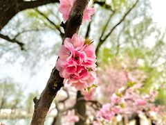 -颐和园