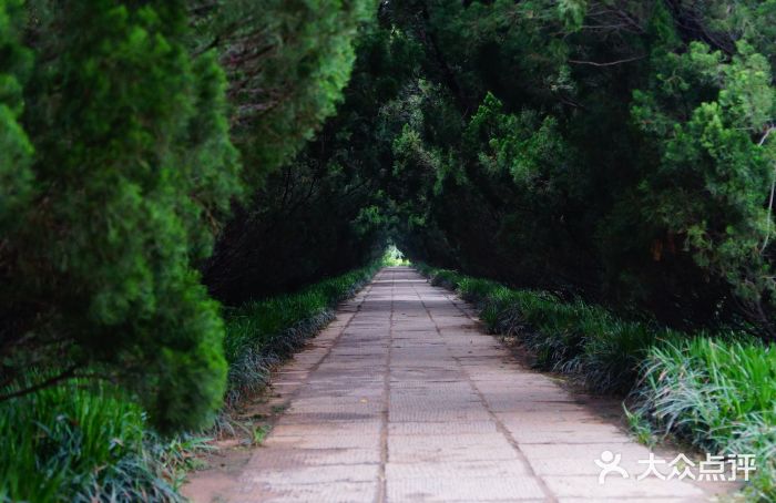 洛阳古墓博物馆图片