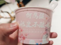-大鸭梨烤鸭(望京店)