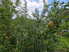 -碧桂园十里银滩