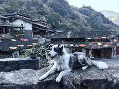 -林坑古村落