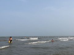 -日照海滨国家森林公园
