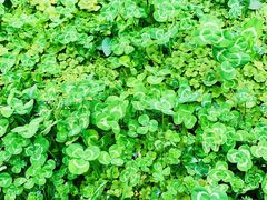 -HAPPEN(江川东路店)