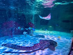 -沈阳海洋探索中心