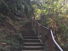 -狮子山郊野公园