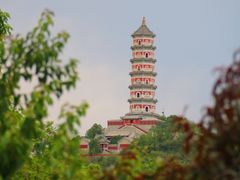 -北坞公园